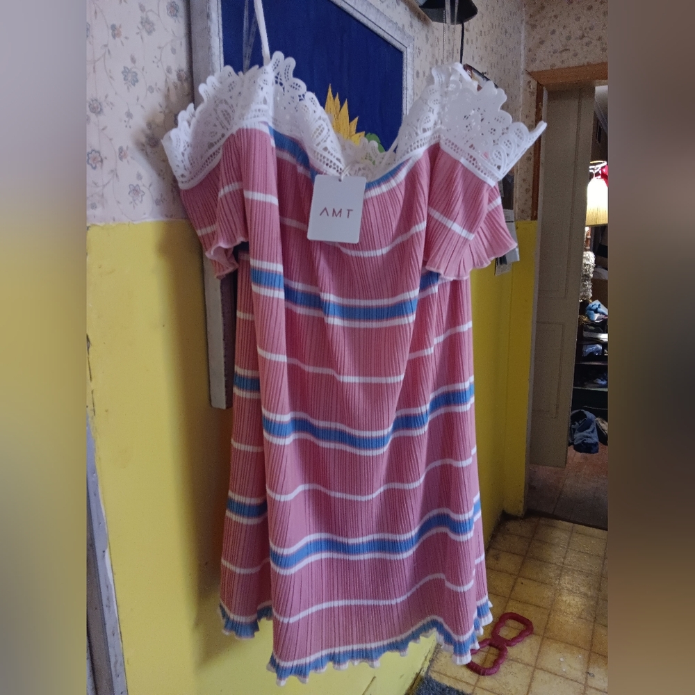 AMT NWT Dress with Pink and Blue Stripes